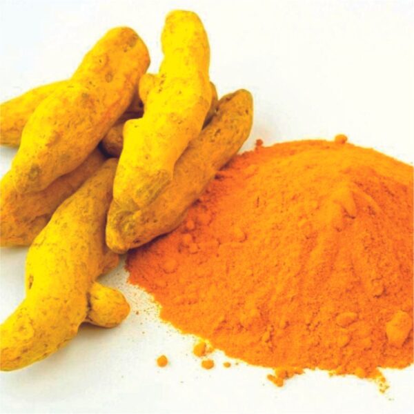Haldi (Salem) Powder